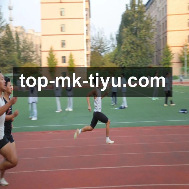 MK体育平台生态图