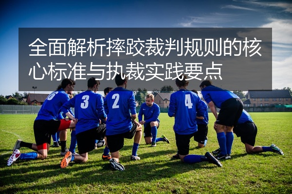 全面解析摔跤裁判规则的核心标准与执裁实践要点